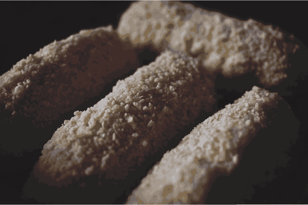 Croquettes adaptées pour chien senior dans une gamelle, alimentation saine et équilibrée pour compagnon âgé