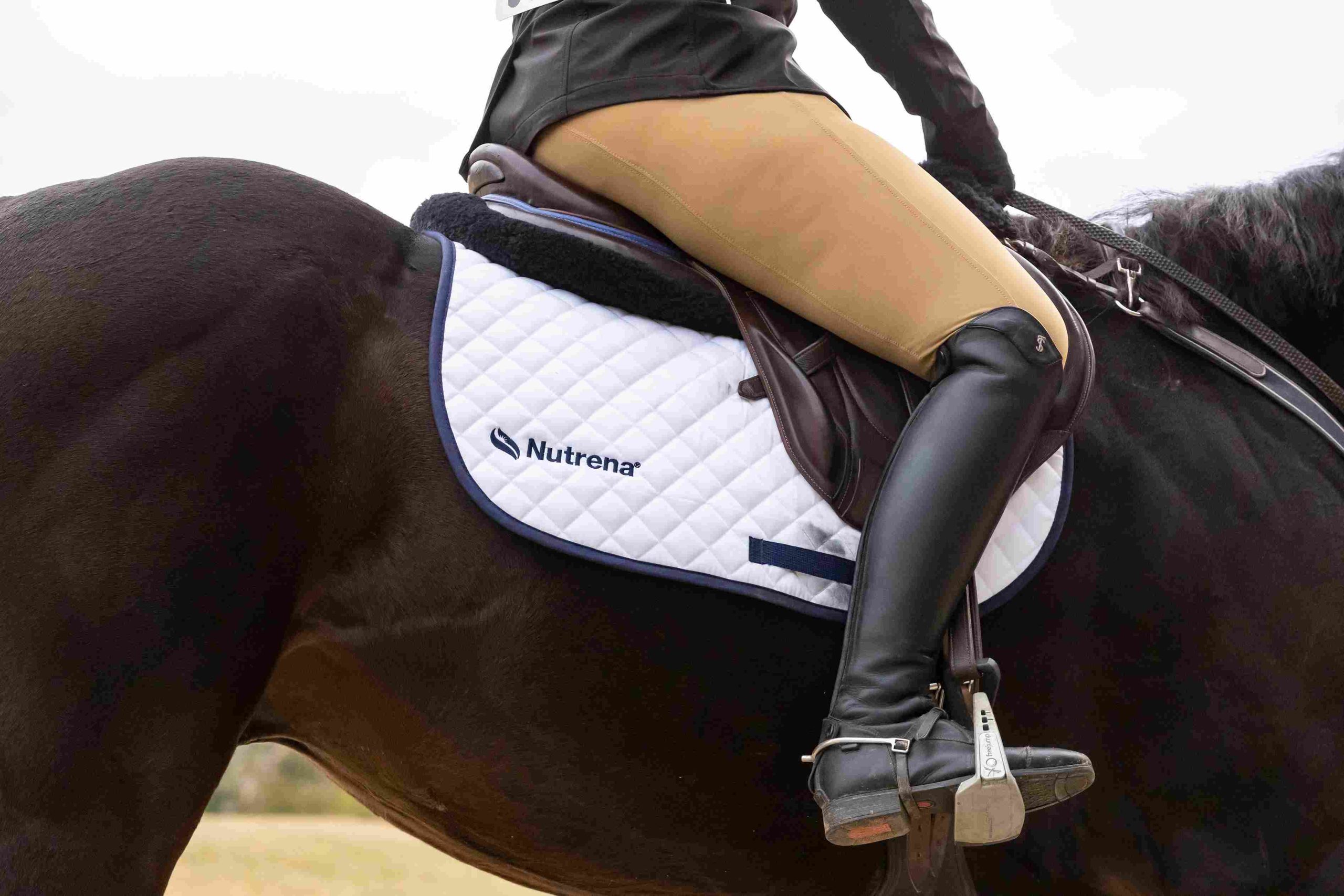 éleveur d'équidés utilisant Infocheval et se trouvant sur un cheval équipé d'une selle anglaise et d'une selle Nutrena.