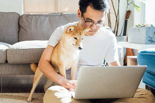 Homme avec son chien Kiba commandant des produits sur une animalerie vétérinaire en ligne depuis son ordinateur portable à domicile