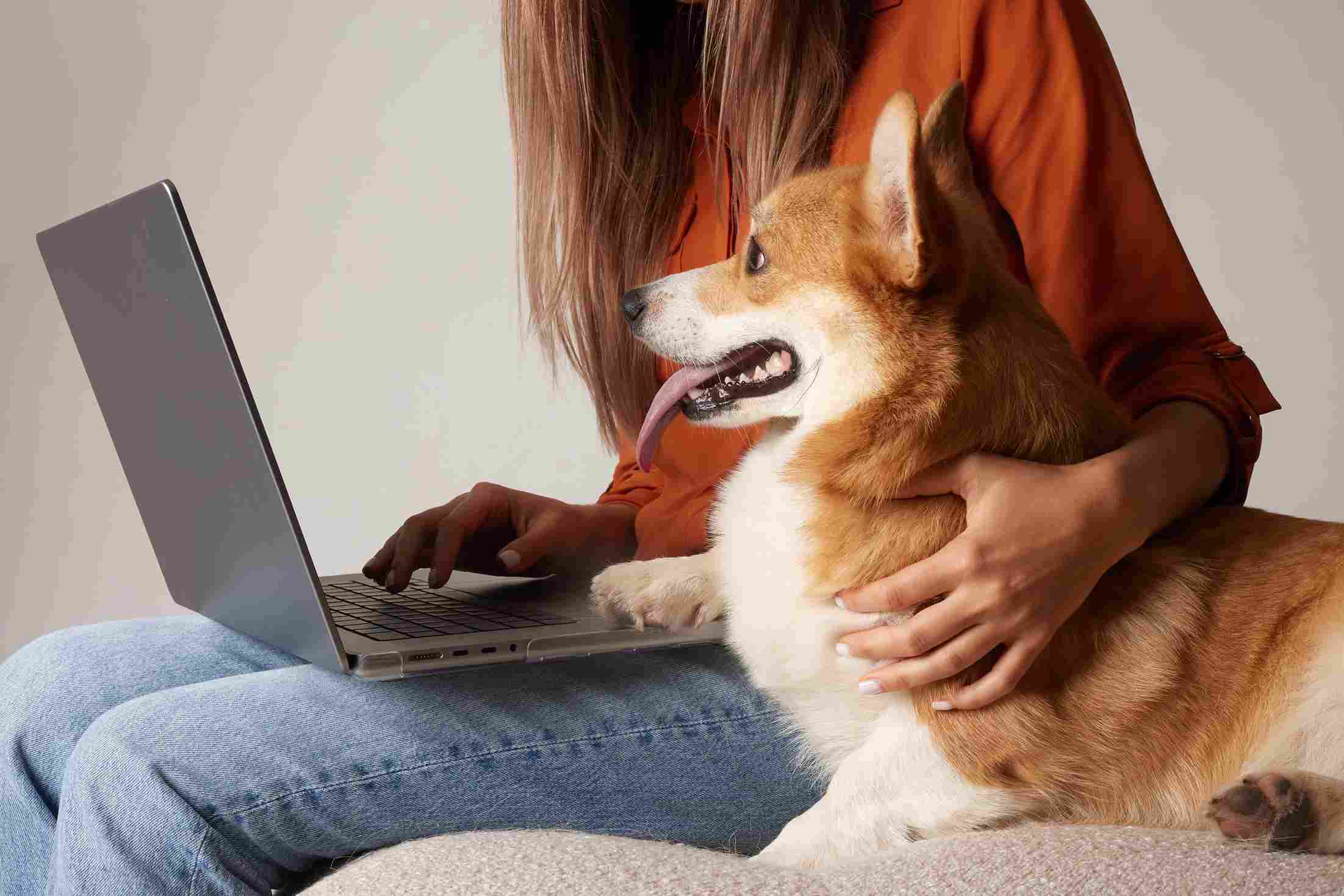 Femme commandant des produits pour animaux en ligne sur un ordinateur portable avec un corgi à la maison, concept de boutique d’animalerie digitale